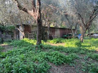 Rustico in vendita a Pietrasanta (LU)