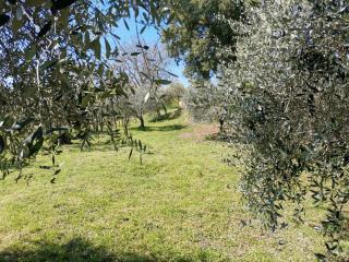 Villetta bifamiliare in vendita a Colle di Val d'Elsa