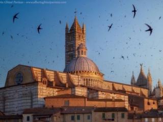 Magazzino in vendita a Siena