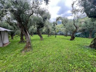 Rustico in vendita, Rif. 256