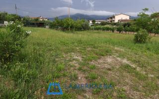 Terreno edif. residenziale in vendita a Larciano