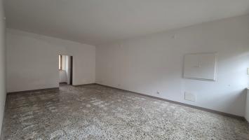 Negozio in affitto a Sovicille