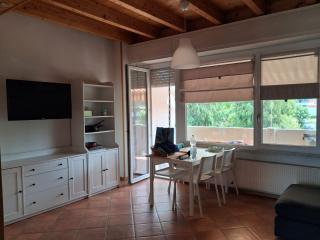 Appartamento in affitto a Carrara