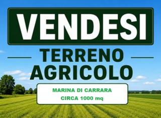 Terreno agricolo in vendita a Carrara