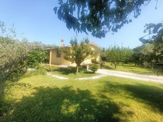 Annesso agricolo in vendita a Carrara