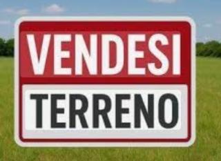 Terreno agricolo in vendita a Montignoso