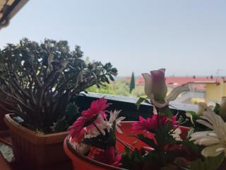 Appartamento in vendita a Turano, Massa (MS)