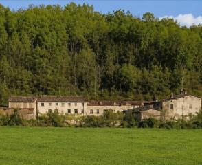 Azienda agricola in vendita a Montopoli in Val d'Arno