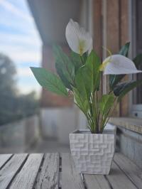 Appartamento in vendita a Siena