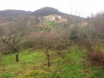 Terreno agricolo in vendita a Nibbiaia, Rosignano Marittimo (LI)