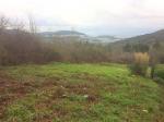 Terreno agricolo in vendita a Nibbiaia, Rosignano Marittimo (LI)