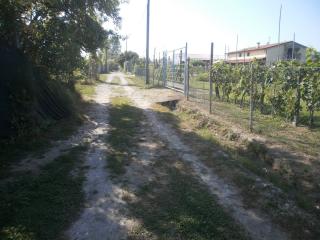 Terreno agricolo in vendita a Fossone, Carrara (MS)