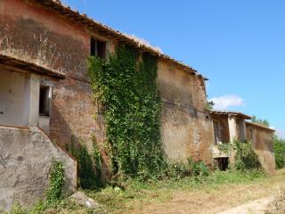 Farm on sale to Pisa (33/48)