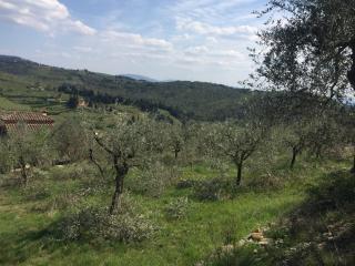 Terreno agricolo in vendita a Careggi, Firenze (FI)
