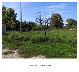 Terreno agricolo in vendita a Carrara