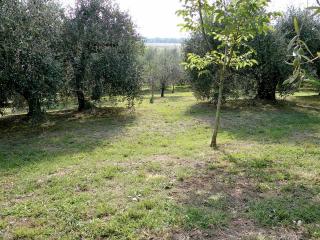 Fienile in vendita a Asciano, San Giuliano Terme (PI)