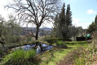 Country house on sale to Palaia (20/64)