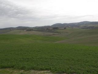 Terreno agricolo in vendita a Asciano (SI)