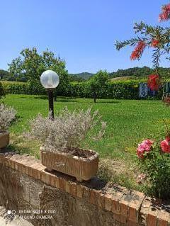 Casa indipendente in vendita a Castell'anselmo, Collesalvetti (LI)