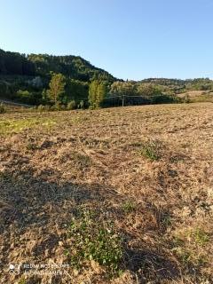 Azienda agricola in vendita a Palaia (PI)