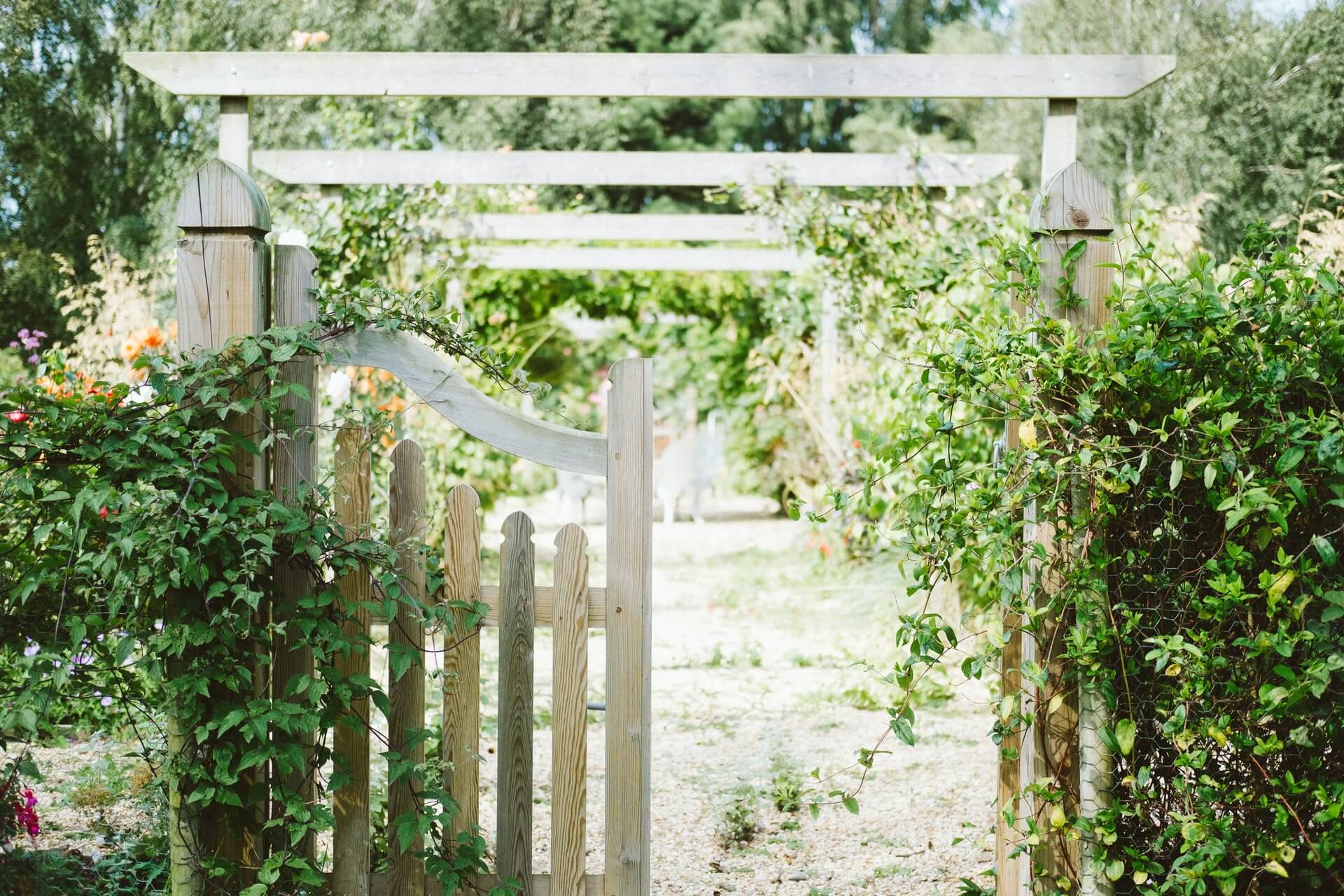 Bonus Giardini 2021: tutti i dettagli del Bonus Verde. 