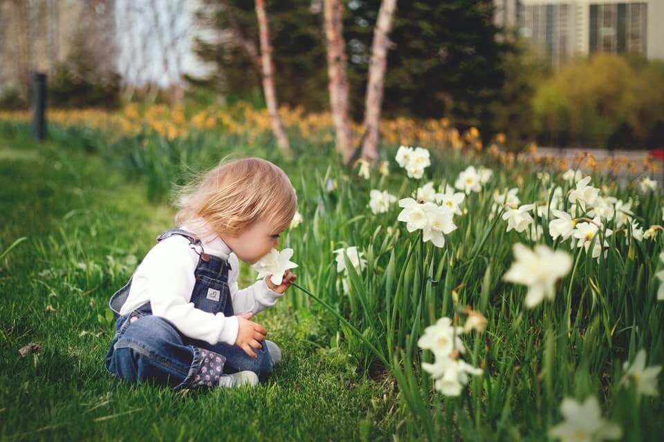 È arrivata la Primavera! Come preparare al meglio il tuo giardino?