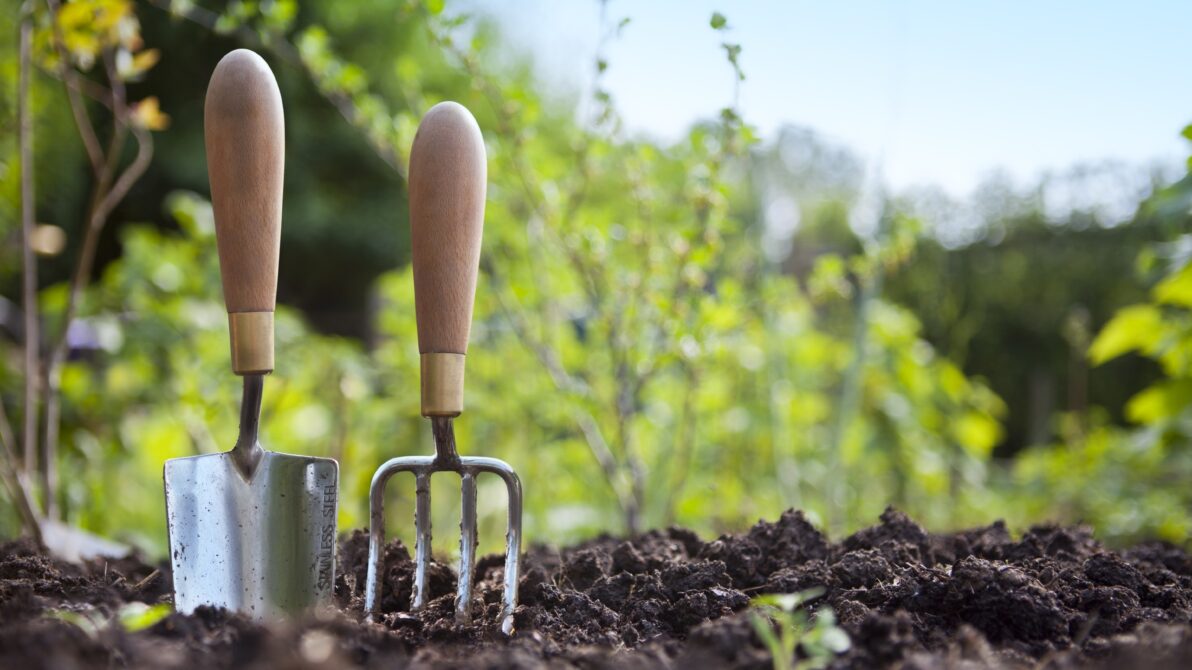 Come fare l'orto in giardino?