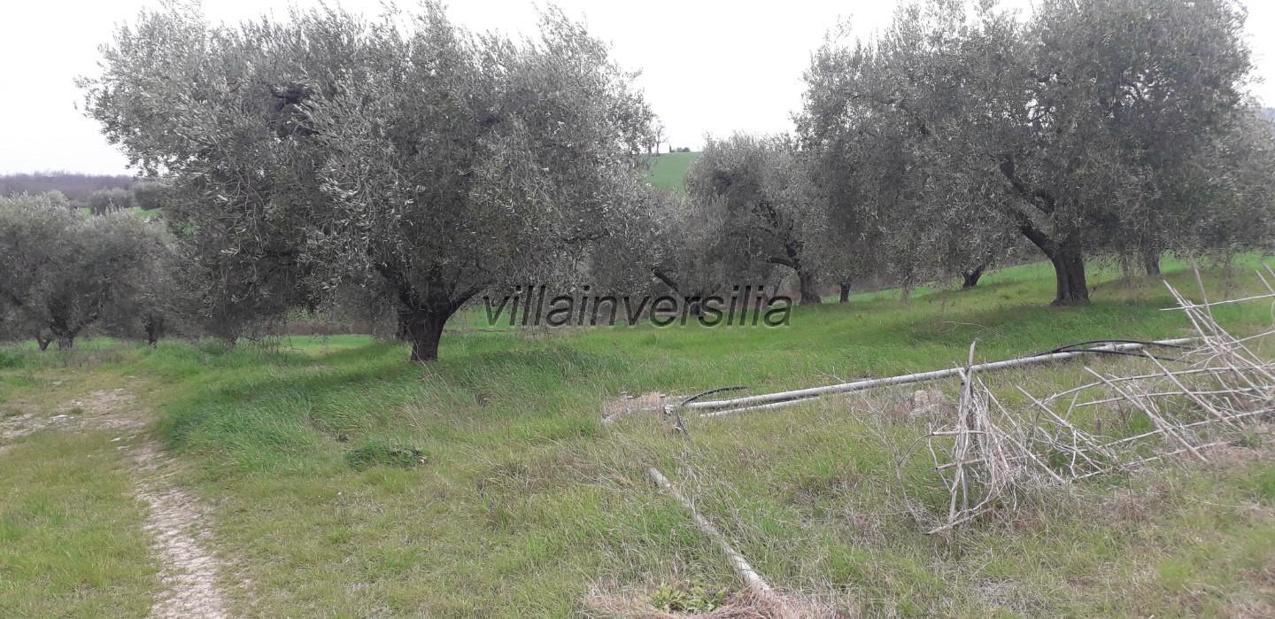 Photo 2/21 for ref. V 132022 Rustico Manciano