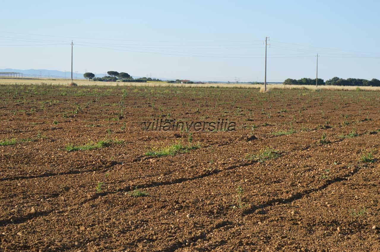 Photo 3/5 for ref. V102023 tenuta Bassa Maremma