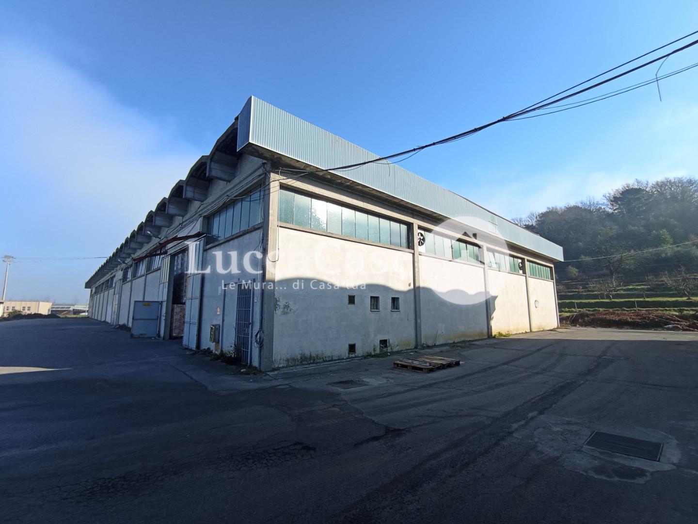 Industrial depot for sale in Capannori (LU)