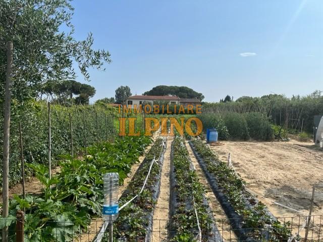 Terreno agricolo in vendita a Riglione Oratoio, Pisa (PI)