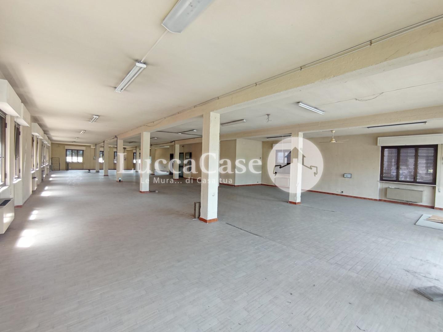 Business mall for commercial rentals in Capannori (LU)