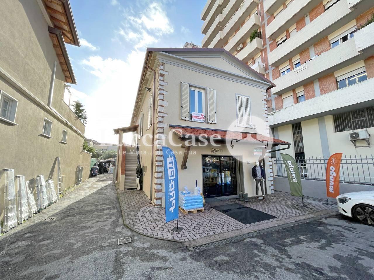 Office for sale in Seravezza (LU)