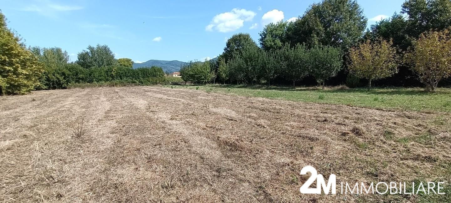 Terreno agricolo in vendita a Pontasserchio, San Giuliano Terme (PI)