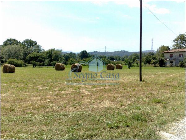 Terreno agricolo in vendita a Sarzana (SP)