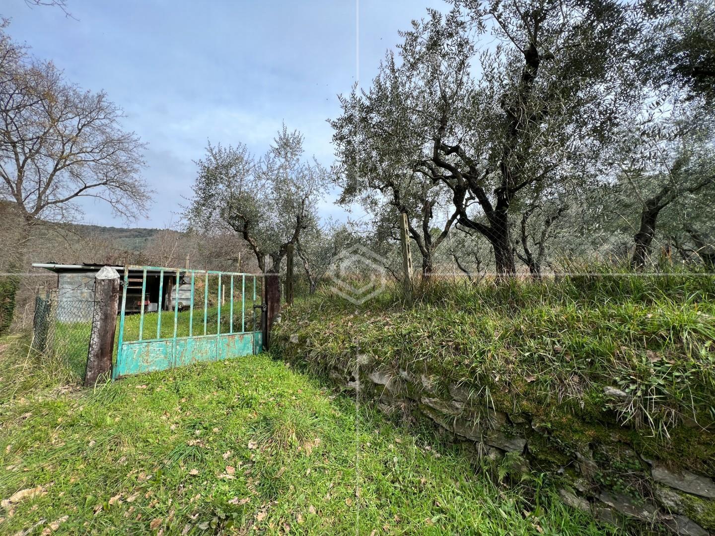 Terreno agricolo in vendita a Balbano, Lucca (LU)