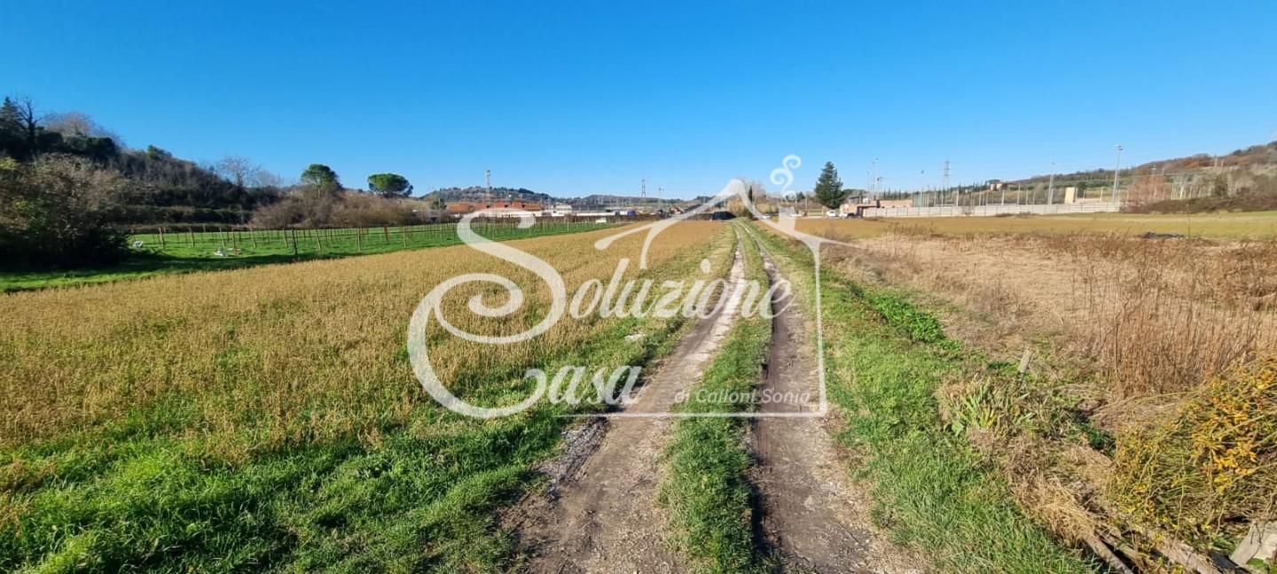 Terreno agricolo in vendita a Luciana, Fauglia (PI)