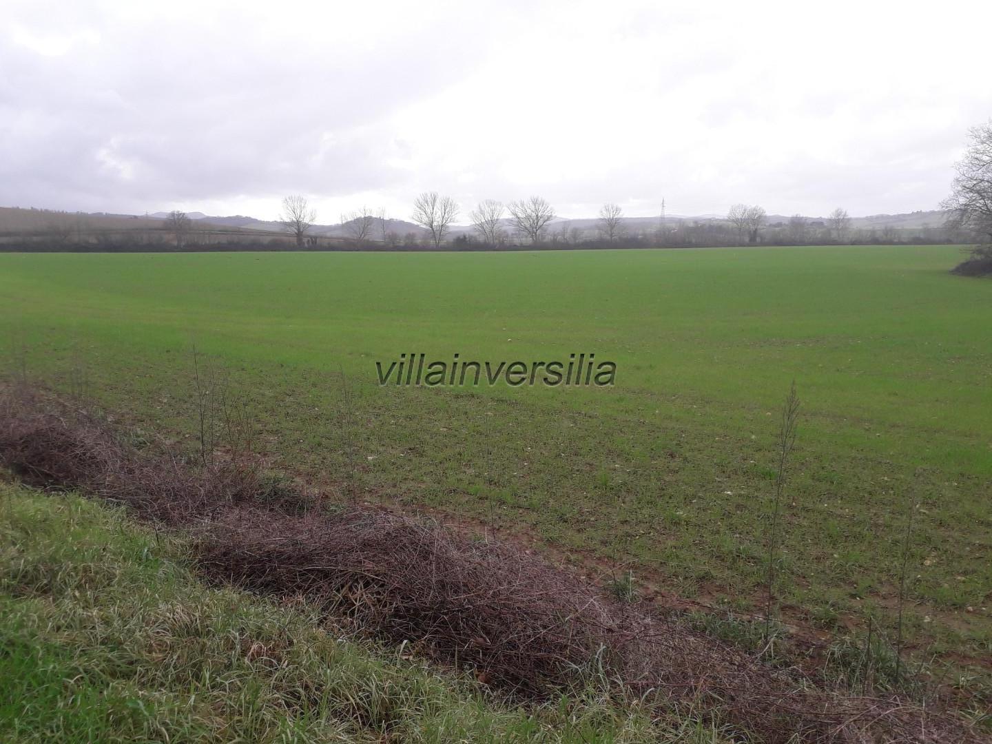 Agricultural plot in Monteriggioni