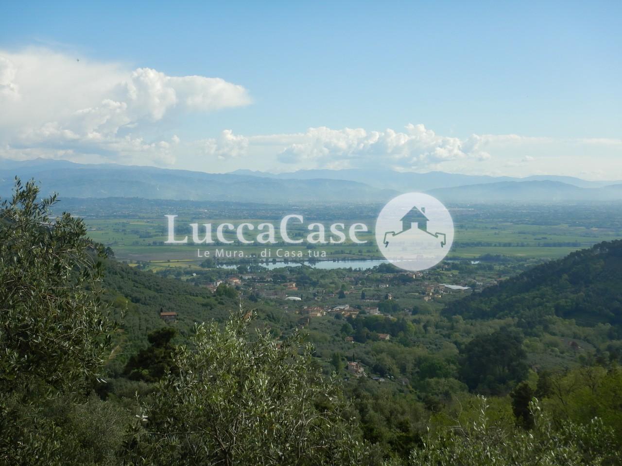 Agricultural plot for sale in Capannori (LU)