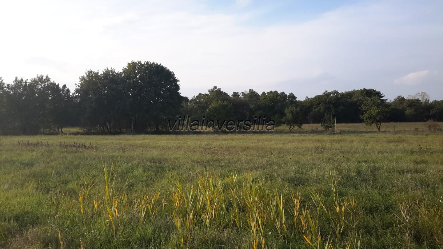 Terreno agricolo in vendita a Castiglione Del Lago (PG)