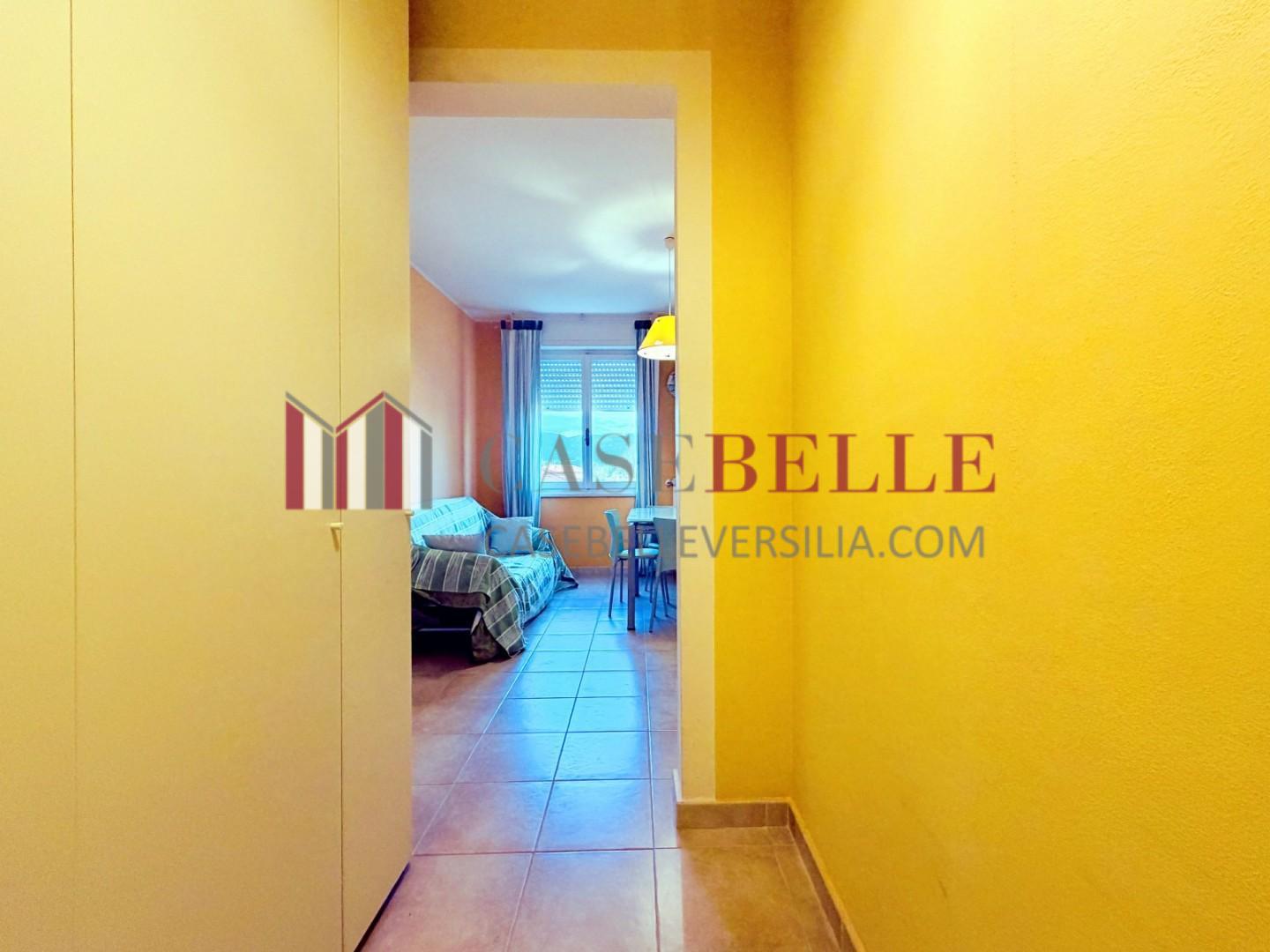 appartamento - Camaiore