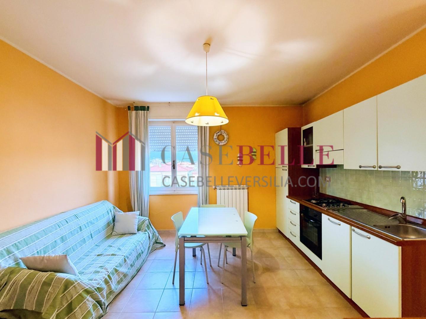 appartamento - Camaiore
