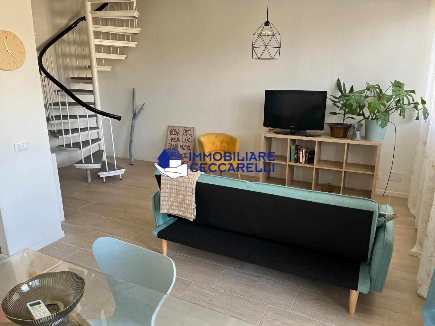 immagine annuncio 3 di 14
