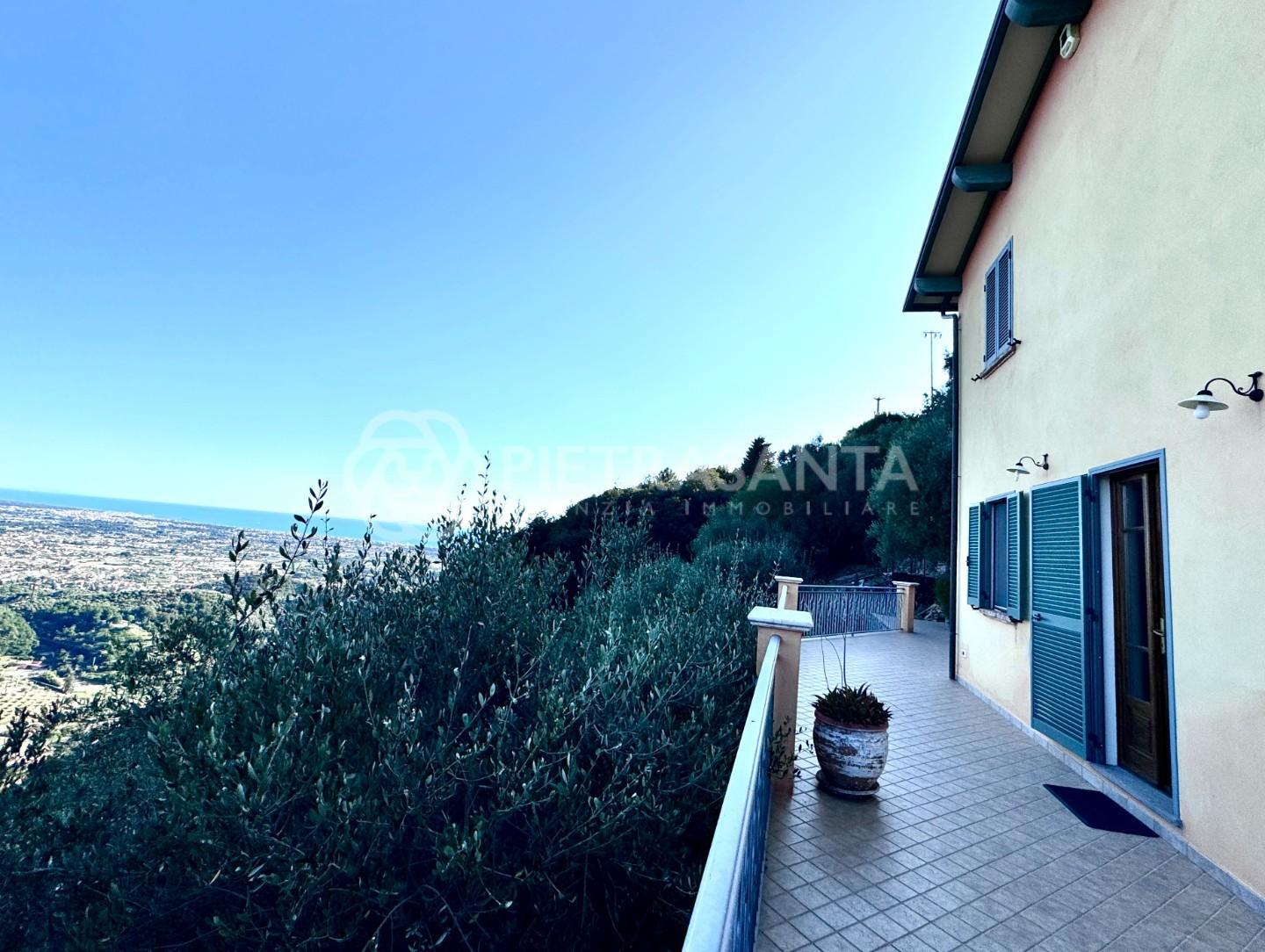 L'Olivella
