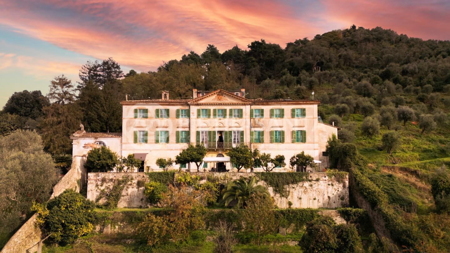 Cavallini