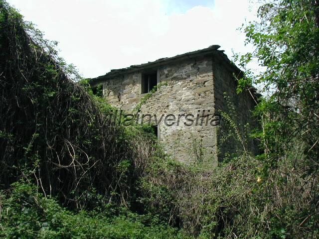 Farmhouse in Poppi