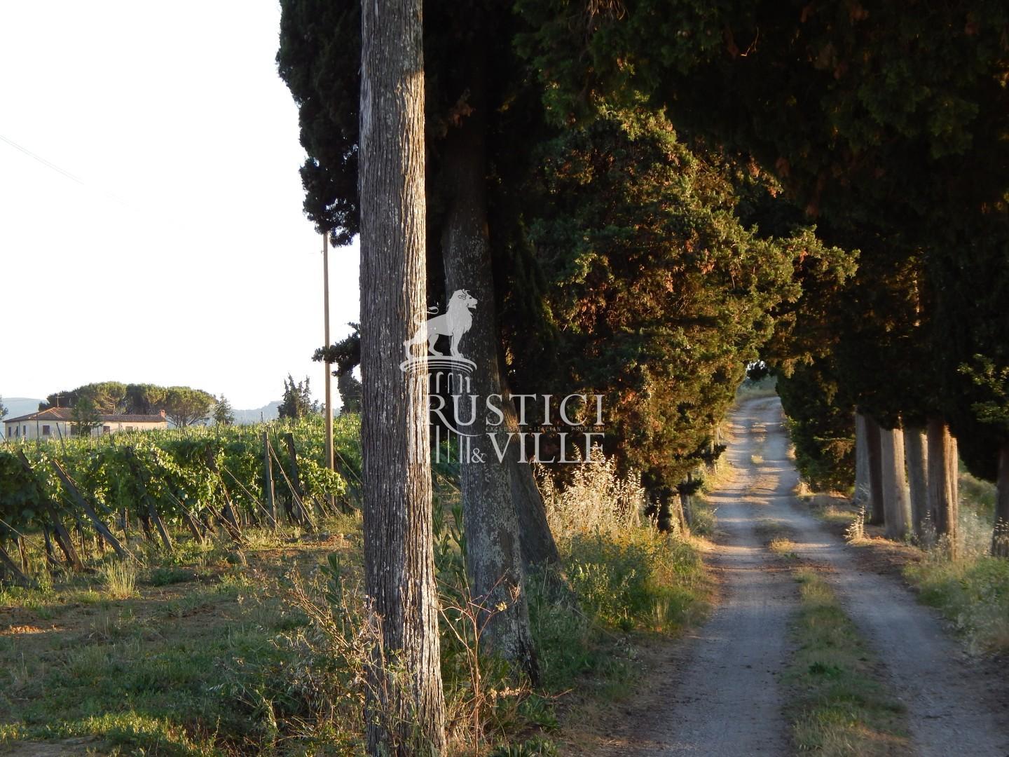 Farm on sale to Pisa (Pisa)