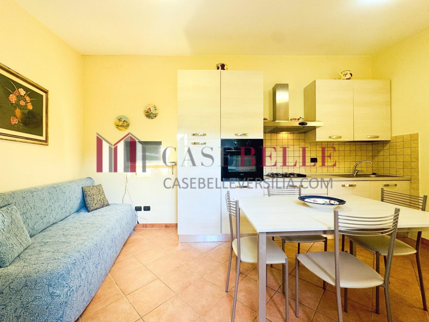 casa indipendente - Pietrasanta
