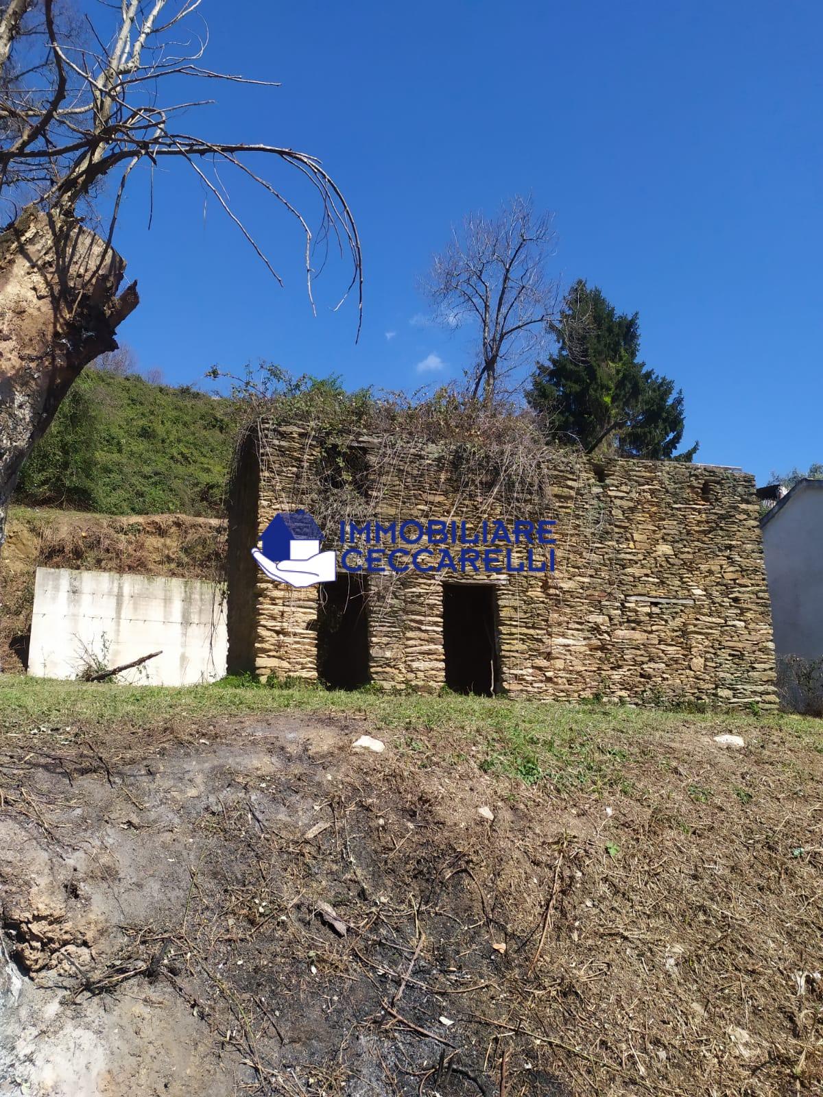 Casa indipendente in vendita a Cerreto, Montignoso (MS)
