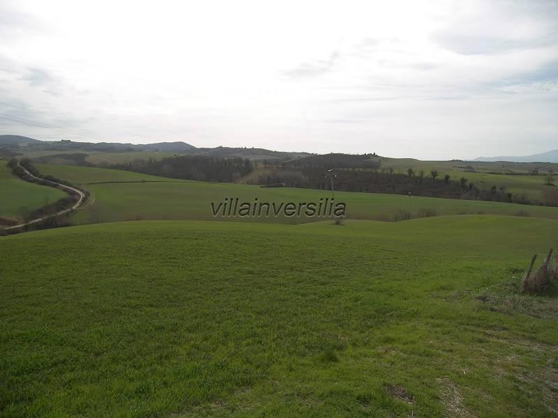 Terreno agricolo in vendita a Asciano (SI)